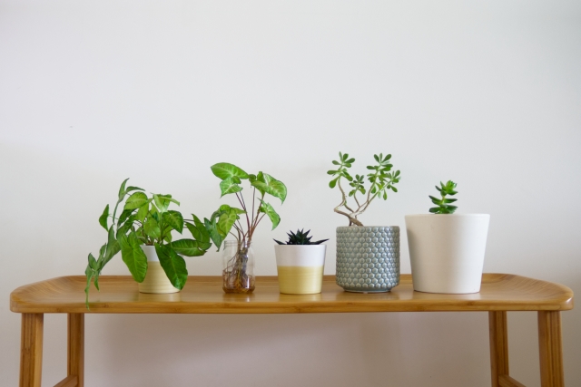 green-interior